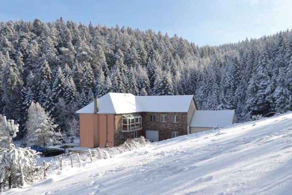 Gite Gretel De La Ferme Du Schneeberg Wangenbourg-Engenthal Экстерьер фото
