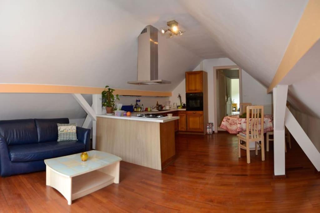 Gite Gretel De La Ferme Du Schneeberg Wangenbourg-Engenthal Экстерьер фото