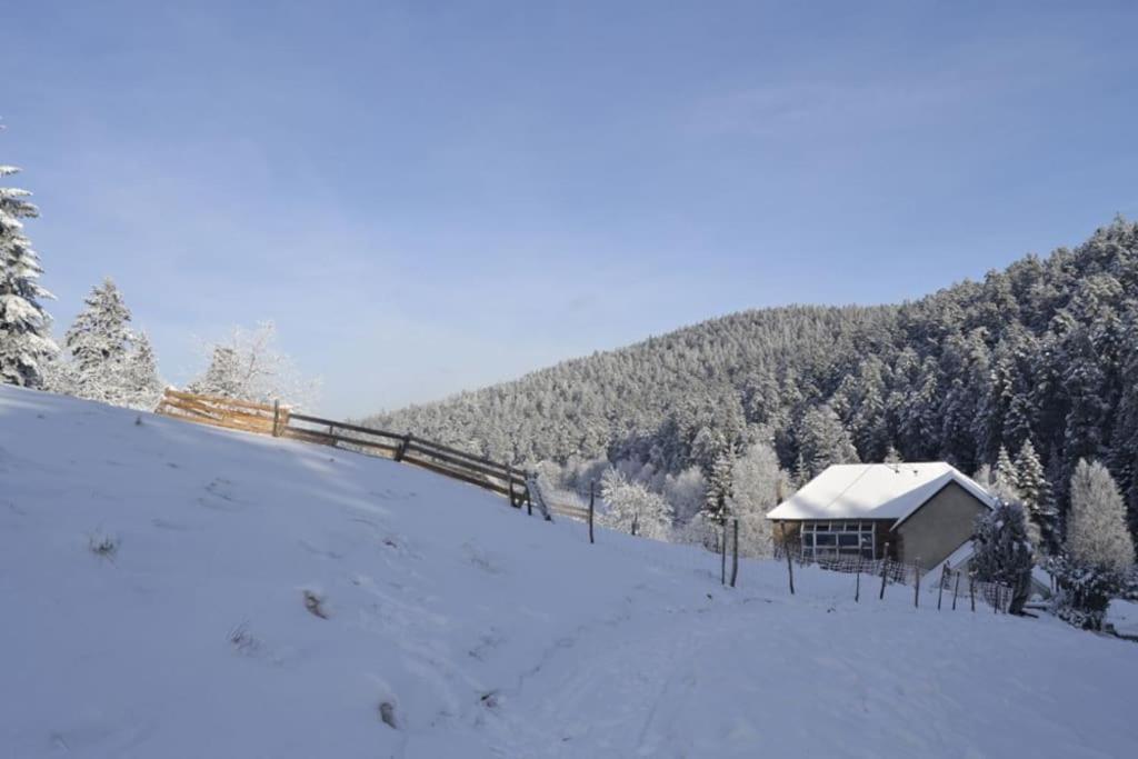 Gite Gretel De La Ferme Du Schneeberg Wangenbourg-Engenthal Экстерьер фото