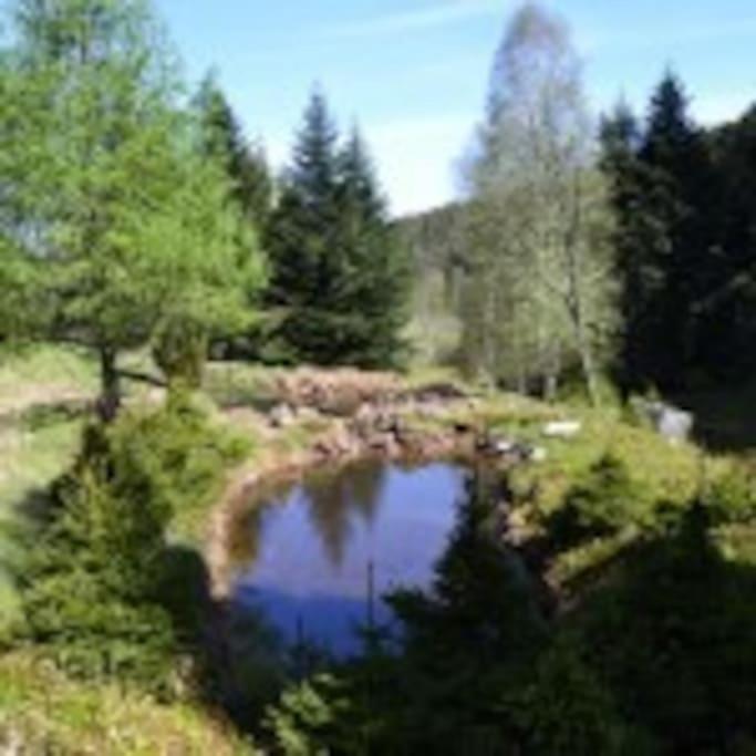 Gite Gretel De La Ferme Du Schneeberg Wangenbourg-Engenthal Экстерьер фото